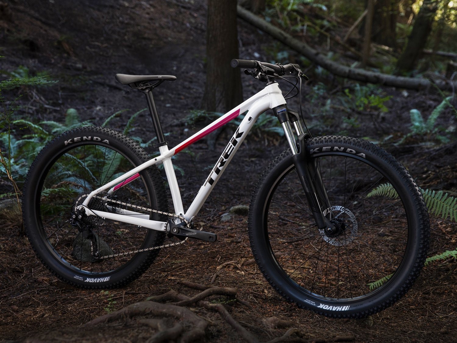  TREK Roscoe 6 Wsd (2019) 